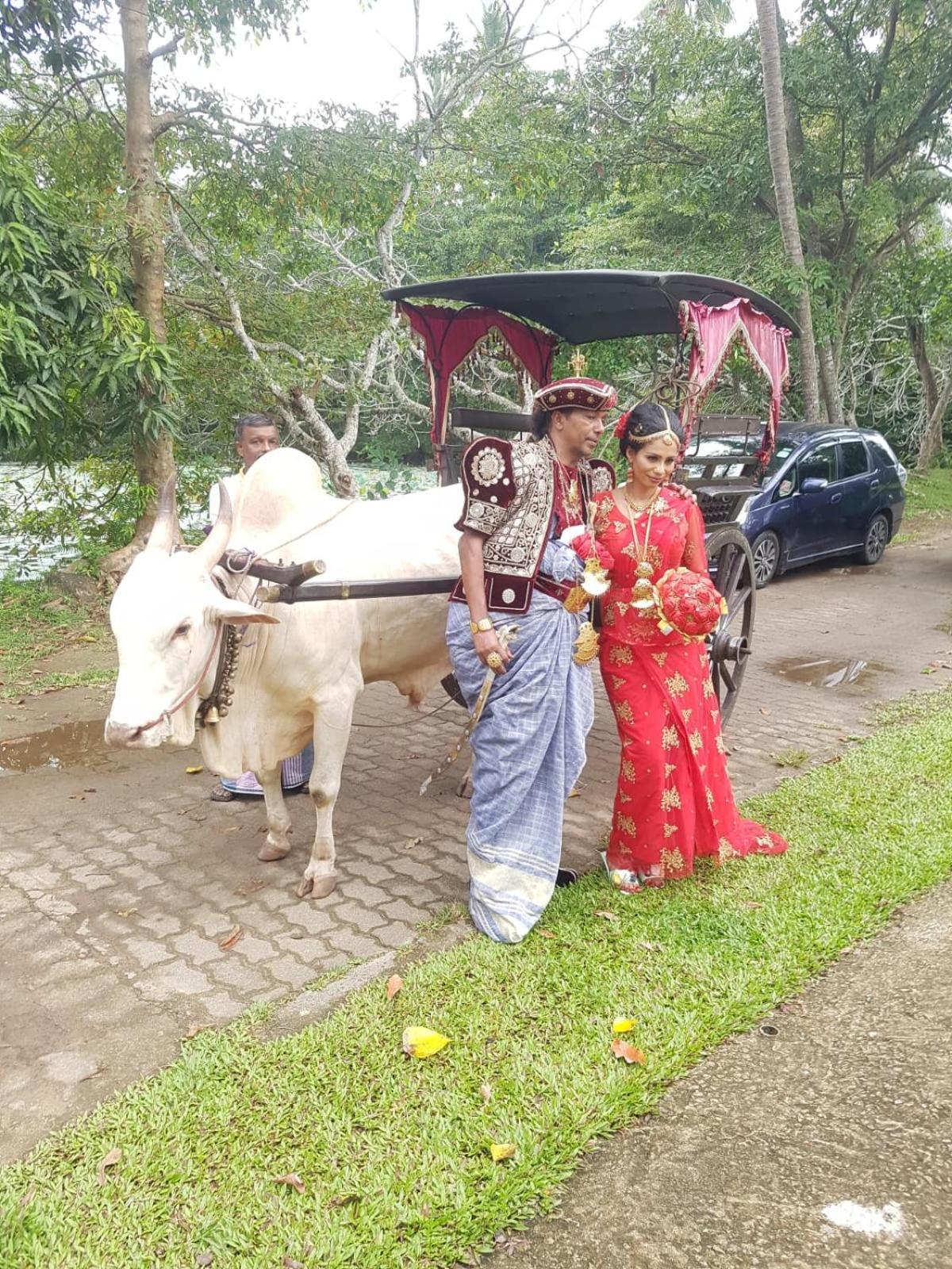 Star Home Stay Bentota Esterno foto